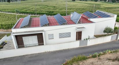 Gîte T3 à Salreu de 210 m²