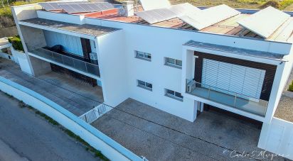 Lodge T3 in Salreu of 210 m²