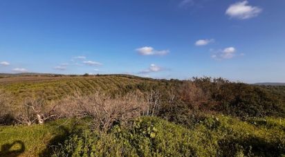 Terrain à Alte de 29 810 m²