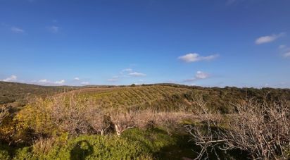 Terrain à Alte de 29 810 m²