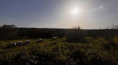 Terrain à Alte de 29 810 m²