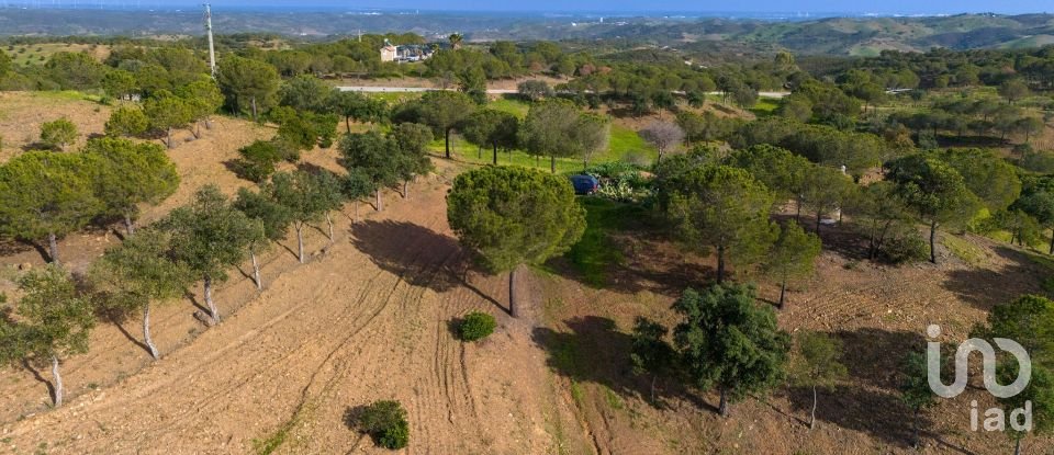 Land in Azinhal of 58,000 m²