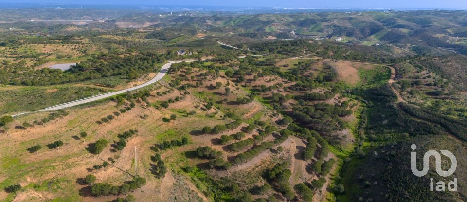 Land in Azinhal of 58,000 m²