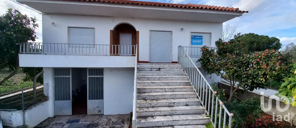 House T3 in Cartaxo e Vale da Pinta of 242 m²