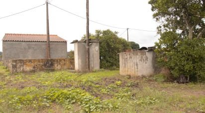 Maison de village T3 à Carregueira de 107 m²