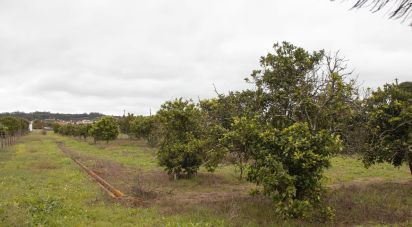 Maison de village T3 à Carregueira de 107 m²