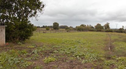 Maison de village T3 à Carregueira de 107 m²