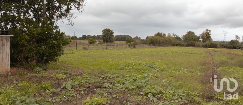 Maison de village T3 à Carregueira de 107 m²