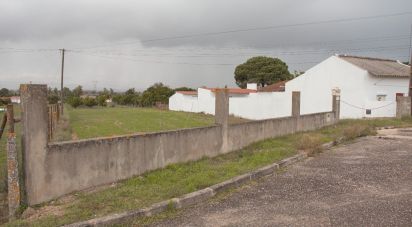Maison de village T3 à Carregueira de 107 m²