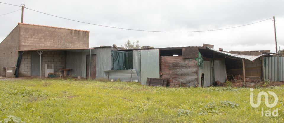 Maison de village T3 à Carregueira de 107 m²