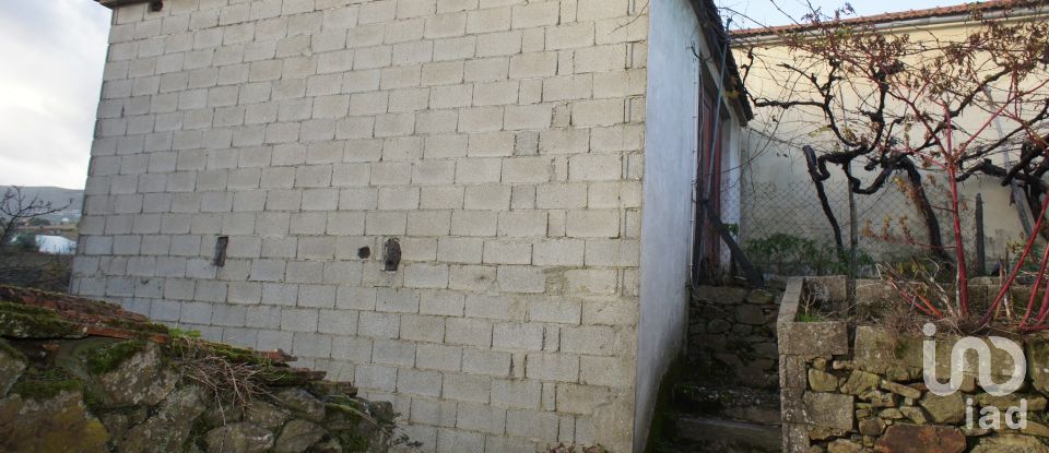 Casa de Campo T3 em Lobrigos (São Miguel e São João Baptista) e Sanhoane de 315 m²