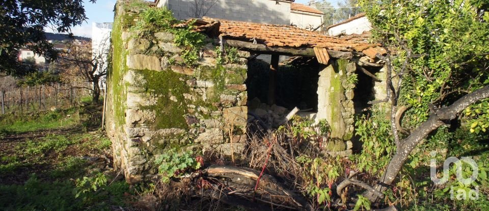 Casa de Campo T3 em Lobrigos (São Miguel e São João Baptista) e Sanhoane de 315 m²