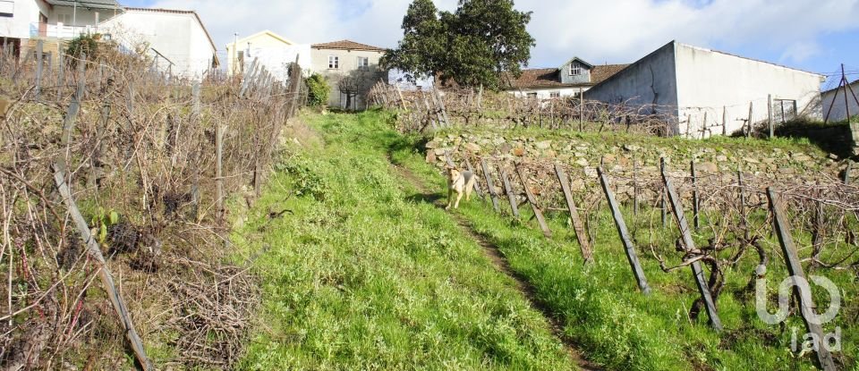 Casa de Campo T3 em Lobrigos (São Miguel e São João Baptista) e Sanhoane de 315 m²