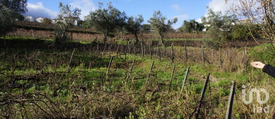 Casa de Campo T3 em Lobrigos (São Miguel e São João Baptista) e Sanhoane de 315 m²