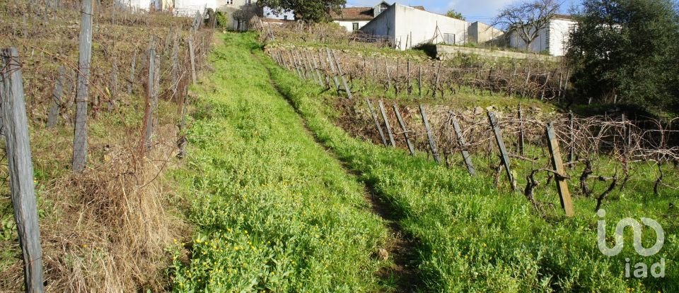 Casa de Campo T3 em Lobrigos (São Miguel e São João Baptista) e Sanhoane de 315 m²
