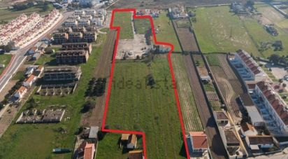 Land in Alcochete of 22,131 m²