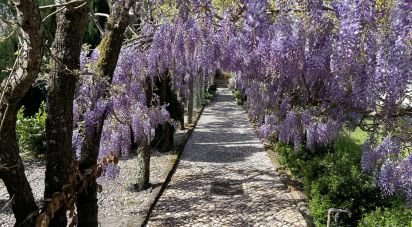 Maison T5 à Eixo e Eirol de 450 m²