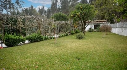 Maison T5 à Eixo e Eirol de 450 m²