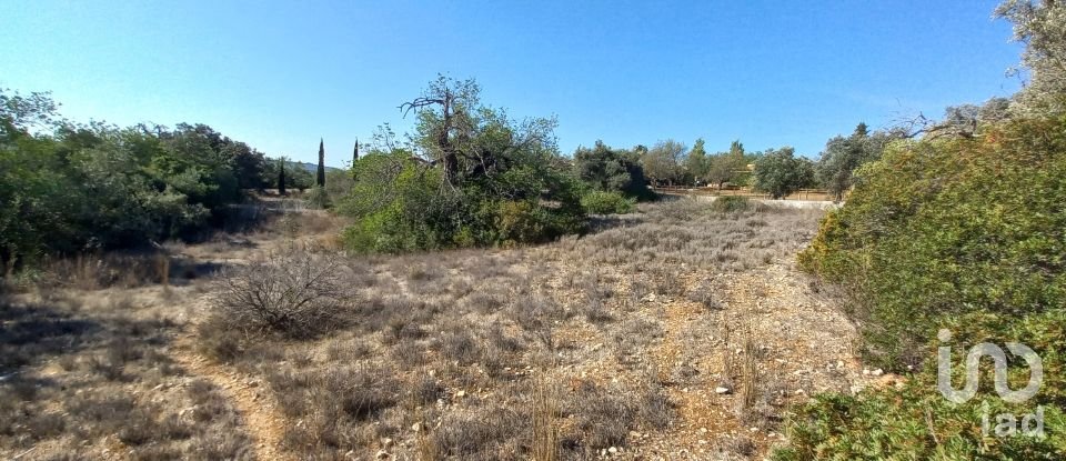 Terreno em Loulé (São Clemente) de 4 300 m²