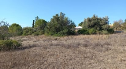 Terrain à Loulé (São Clemente) de 4 300 m²