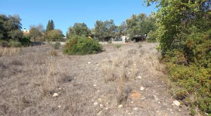 Terrain à Loulé (São Clemente) de 4 300 m²