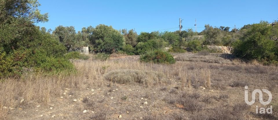 Terreno em Loulé (São Clemente) de 4 300 m²