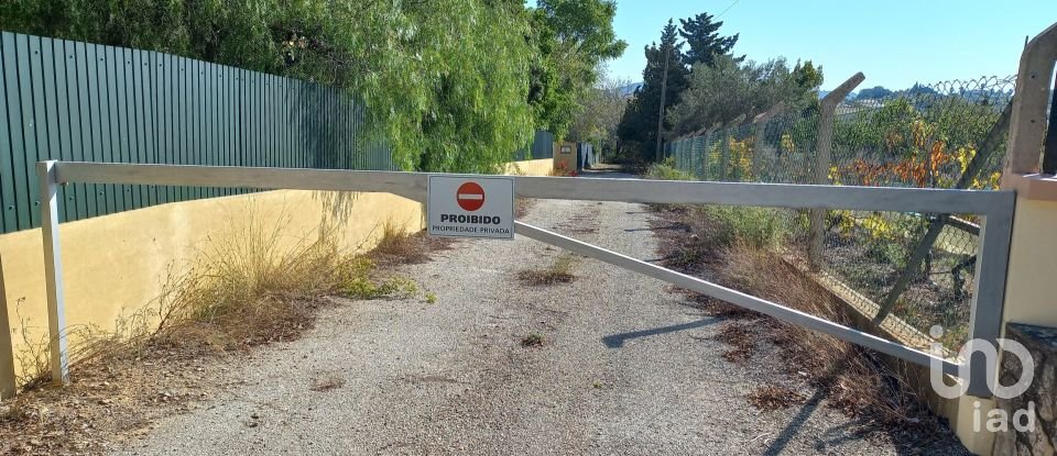 Terreno em Loulé (São Clemente) de 4 300 m²