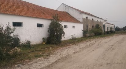 Terrain agricole à Poceirão e Marateca de 130 500 m²