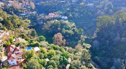 Maison rustique T4 à Sintra (Santa Maria e São Miguel, São Martinho e São Pedro de Penaferrim) de 1 254 m²