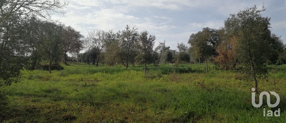 Land in Areias e Pias of 7,665 m²