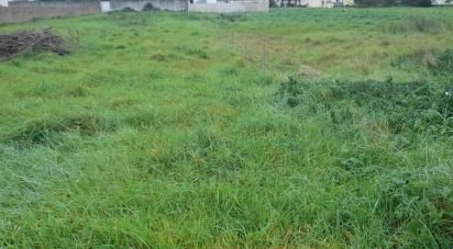 Terrain à Gafanha da Encarnação de 1 200 m²