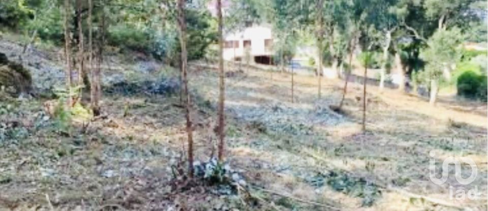 Quinta T2 em Vilar de Mouros de 206 m²