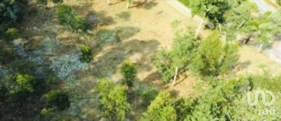 Quinta T2 em Vilar de Mouros de 206 m²