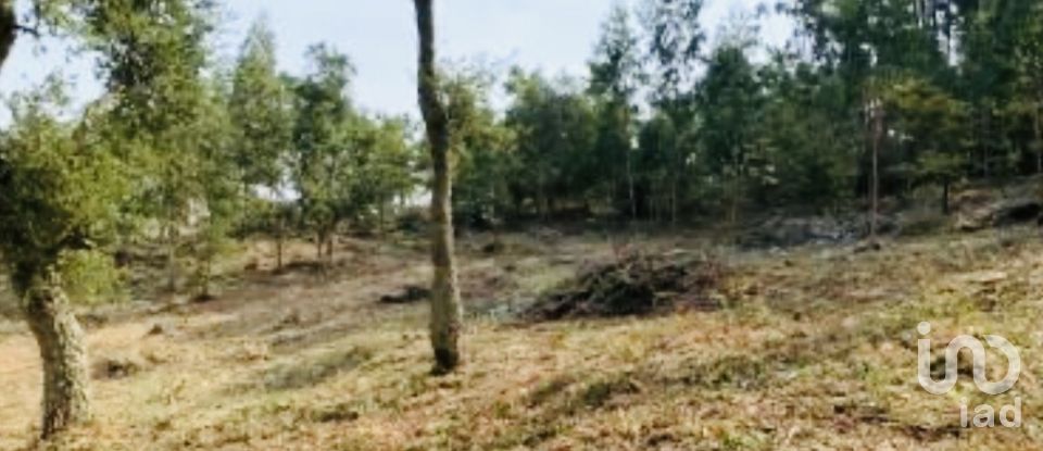 Quinta T2 em Vilar de Mouros de 206 m²