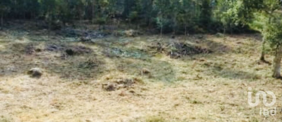 Quinta T2 em Vilar de Mouros de 206 m²