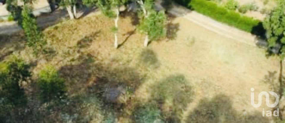 Quinta T2 em Vilar de Mouros de 206 m²