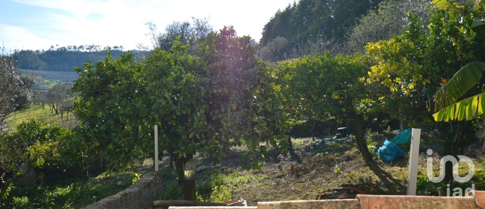 Casa T3 em São Miguel, Santa Eufémia e Rabaçal de 83 m²