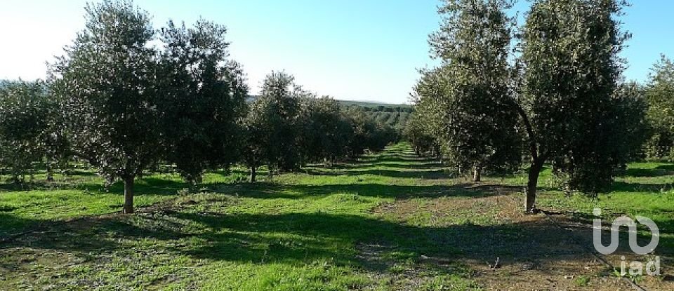 Terrain agricole à Sado de 1 592 926 m²