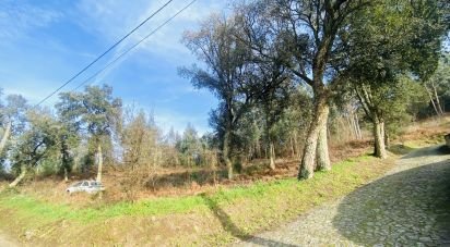 Ferme T2 à Vilar de Mouros de 206 m²