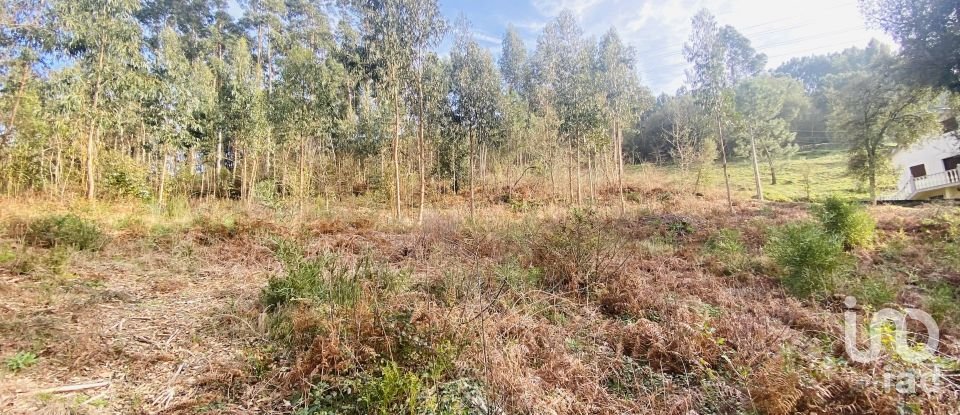 Quinta T2 em Vilar de Mouros de 206 m²