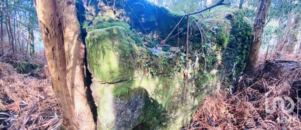 Quinta T2 em Vilar de Mouros de 206 m²