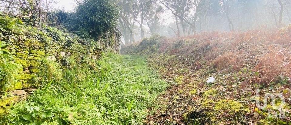 Quinta T2 em Vilar de Mouros de 206 m²