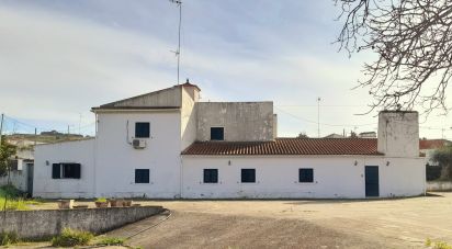 Ferme T6 à Caia, São Pedro e Alcáçova de 802 m²