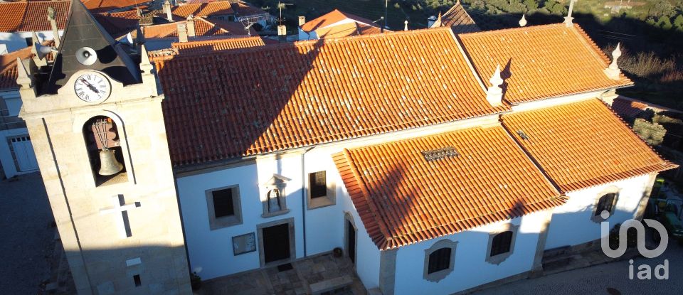 Farm T0 in Poço do Canto of 53,050 m²