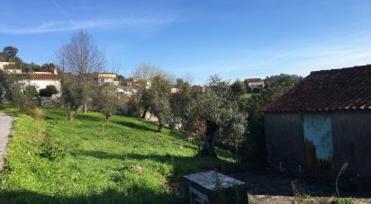 Terrain à Ceira de 604 m²