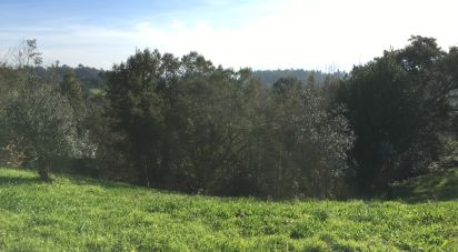 Terrain à Ceira de 604 m²
