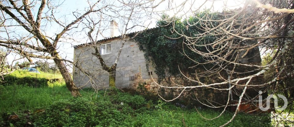 Village house T2 in Chãos of 245 m²