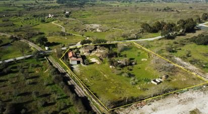 Ferme T0 à Santiago Maior de 80 m²