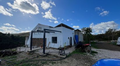 Casa de aldeia T3 em São Bartolomeu de Messines de 122 m²