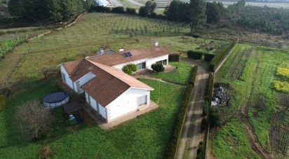 Country home T4 in Folhadela of 481 m²